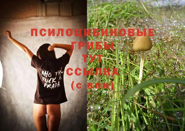 трава Абаза