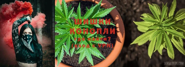 трава Абаза