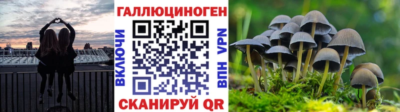 Галлюциногенные грибы Psilocybe  shop наркотические препараты  Тырныауз 